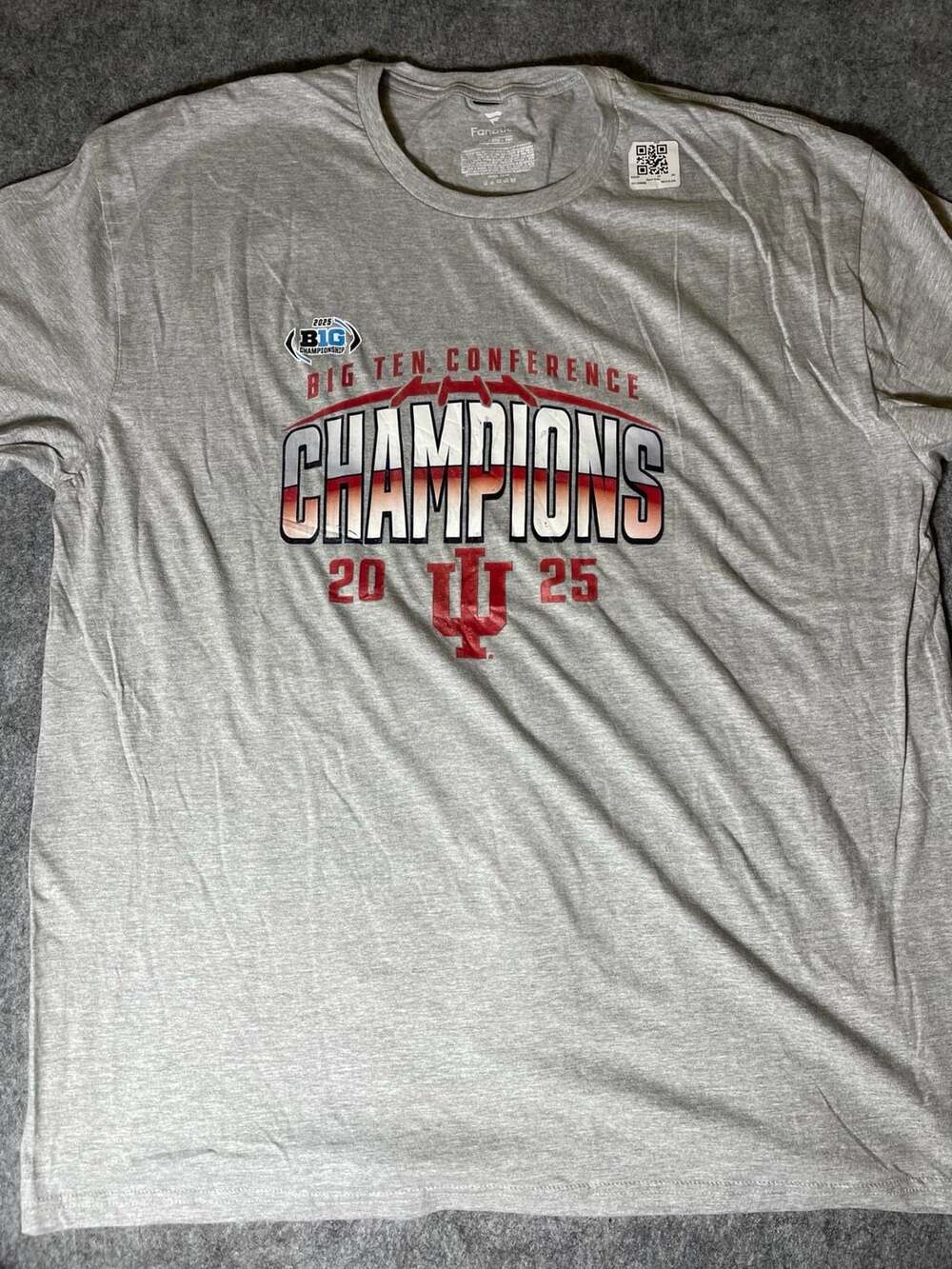 Indiana Hoosiers 2025 Big Ten Conference Champions T-Shirt - Gray